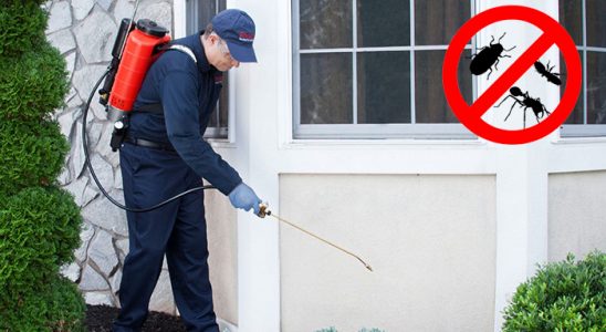 Mustafakemalpaşa Karınca İlaçlama böcek ilaçlama ve haşere kontrolü — ilaclama-tr.com